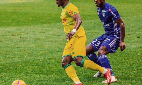 Des canaris sans ailes
