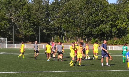 FCN – ASPTT Albi : Carton des Nantaises pour la première à domicile