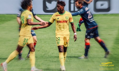 FCN – OL : Le groupe nantais