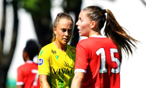 Dans le vestiaire, Coupe de France : FC Nantes – EA Guingamp
